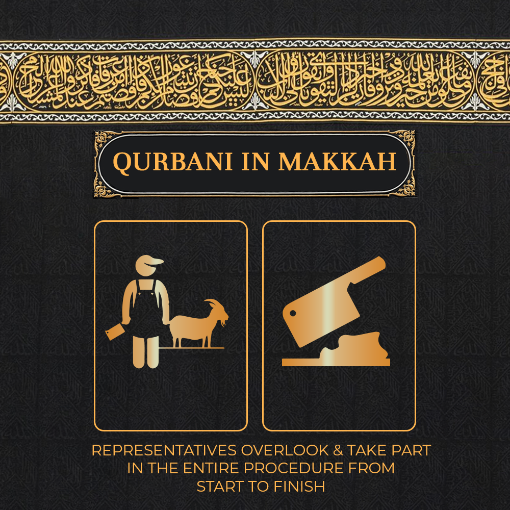 Goat, Sheep and Camel Qurbani