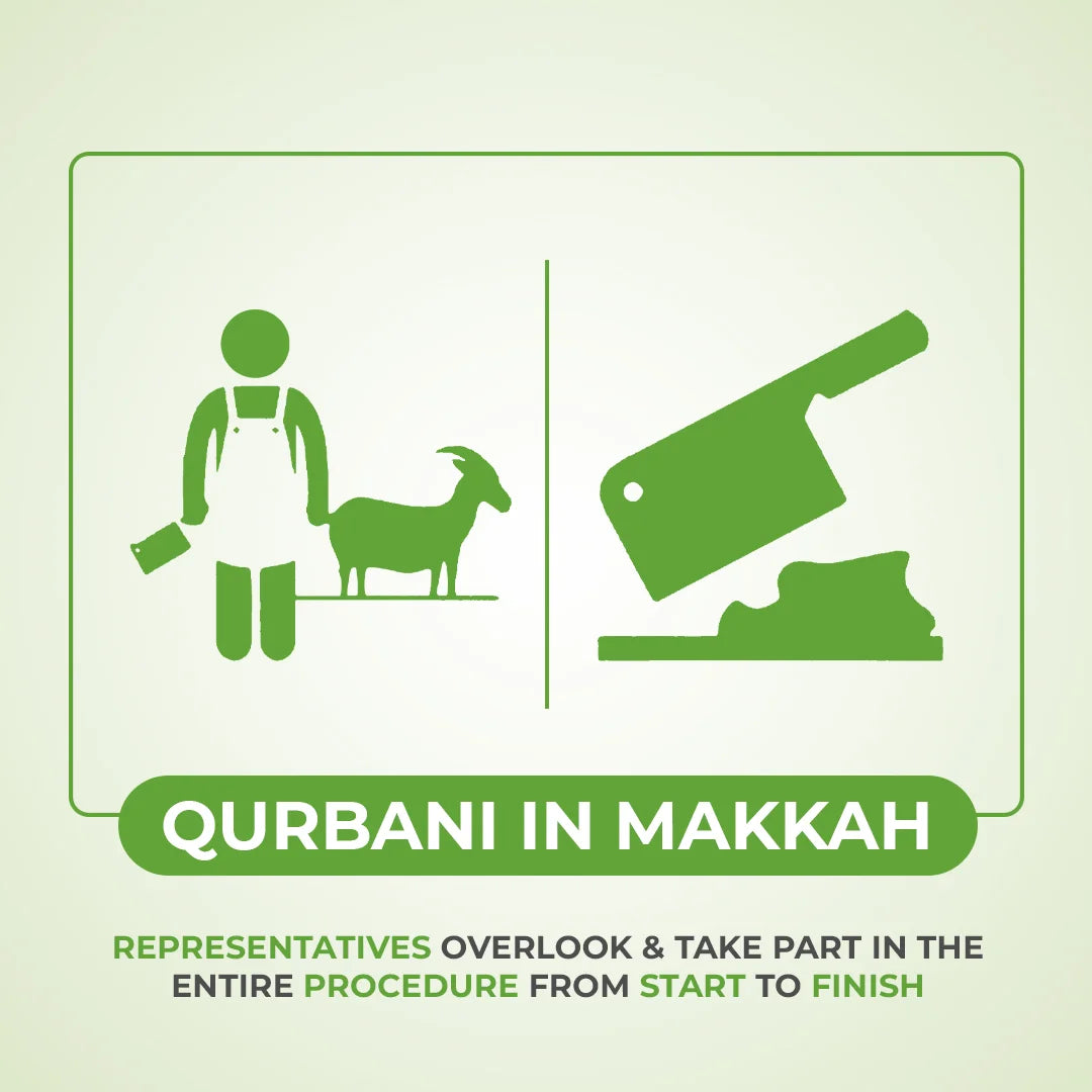 Goat, Sheep and Camel Qurbani / Sadaqah