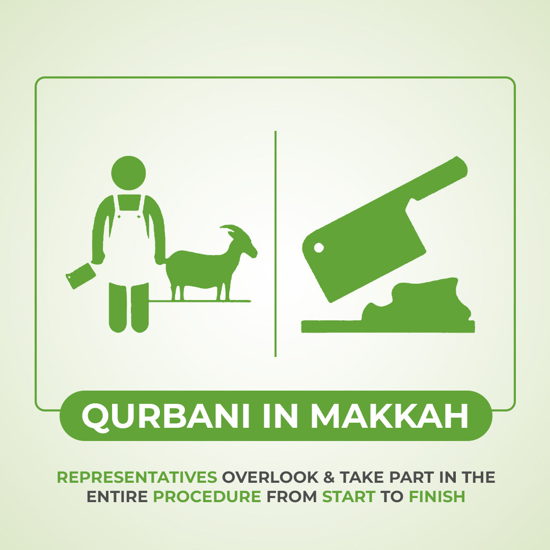 Goat or Sheep / Sadaqah