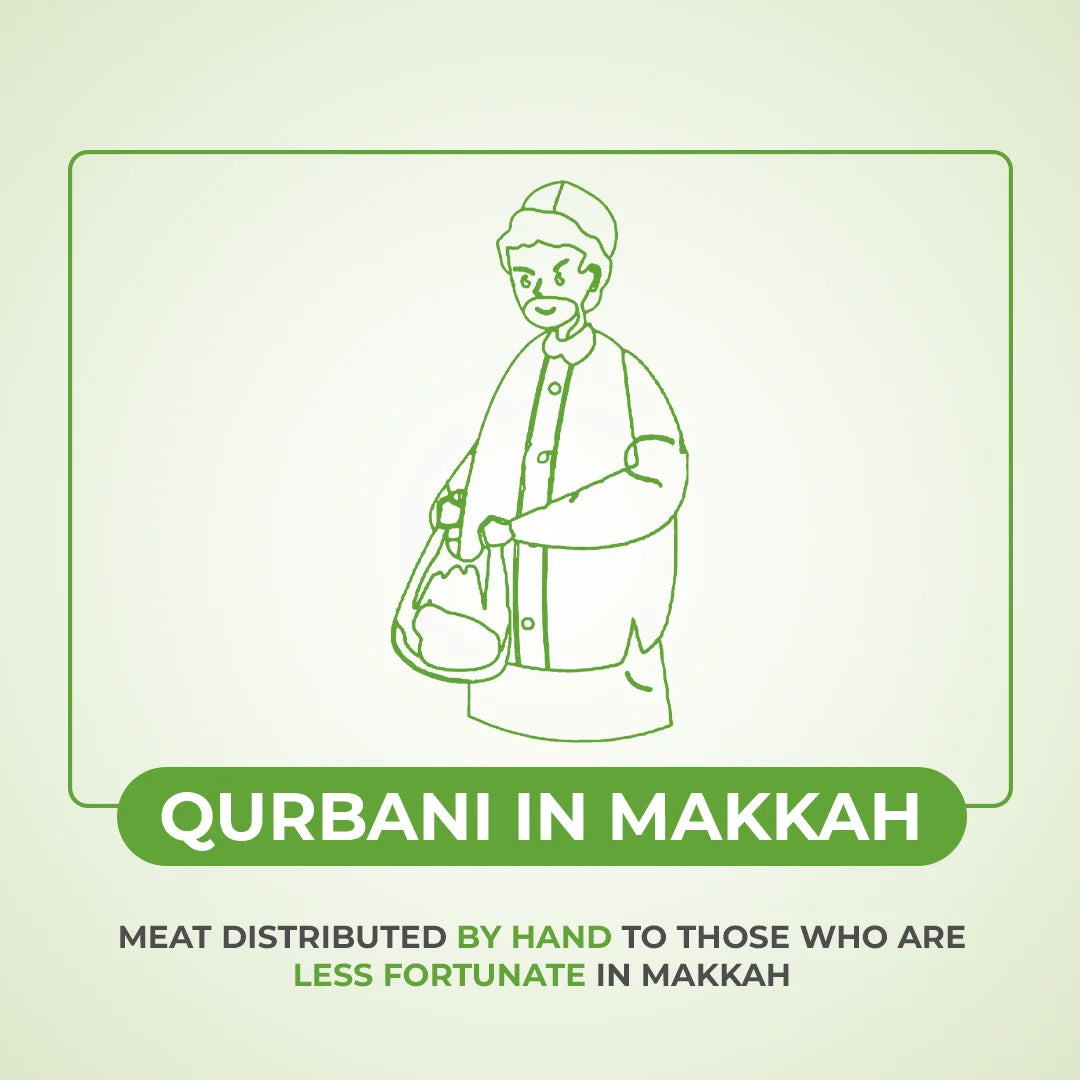 Goat, Sheep and Camel Qurbani / Sadaqah Jariyah