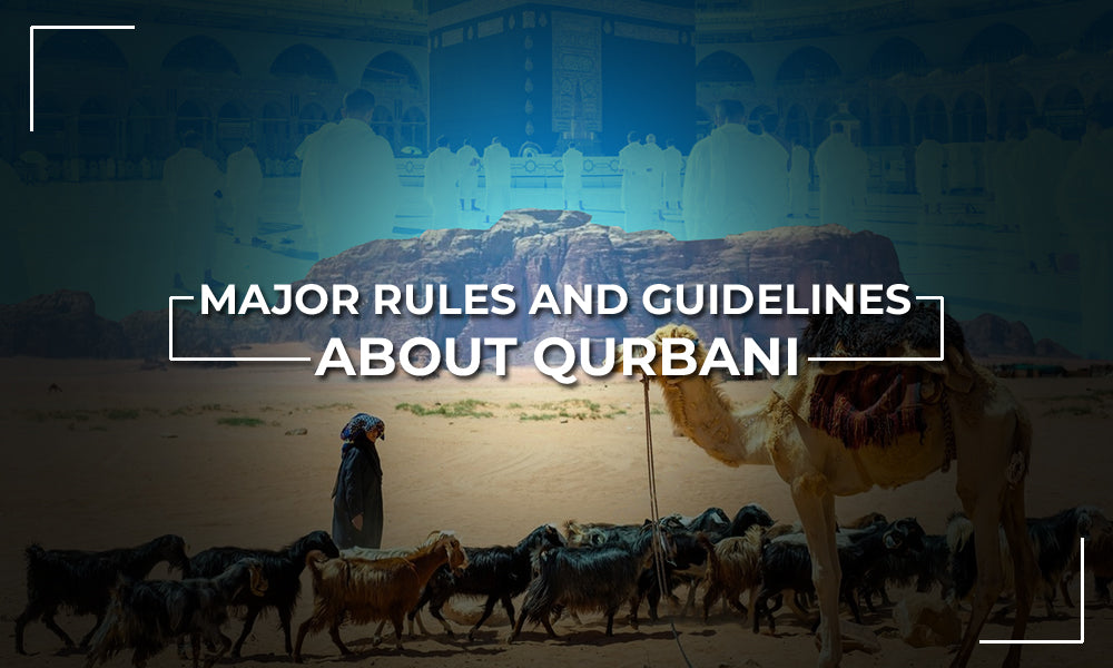 Major Rules and Guidelines About Qurbani Haramain