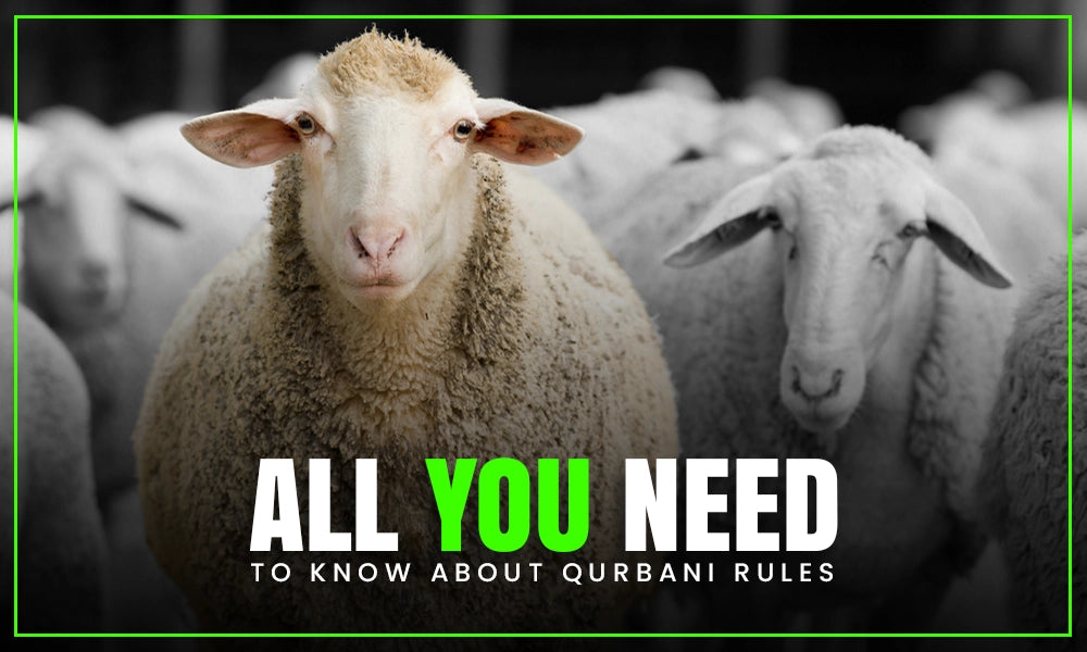 What are the Qurbani rules?