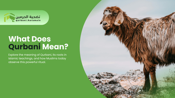 What Does Qurbani Mean?