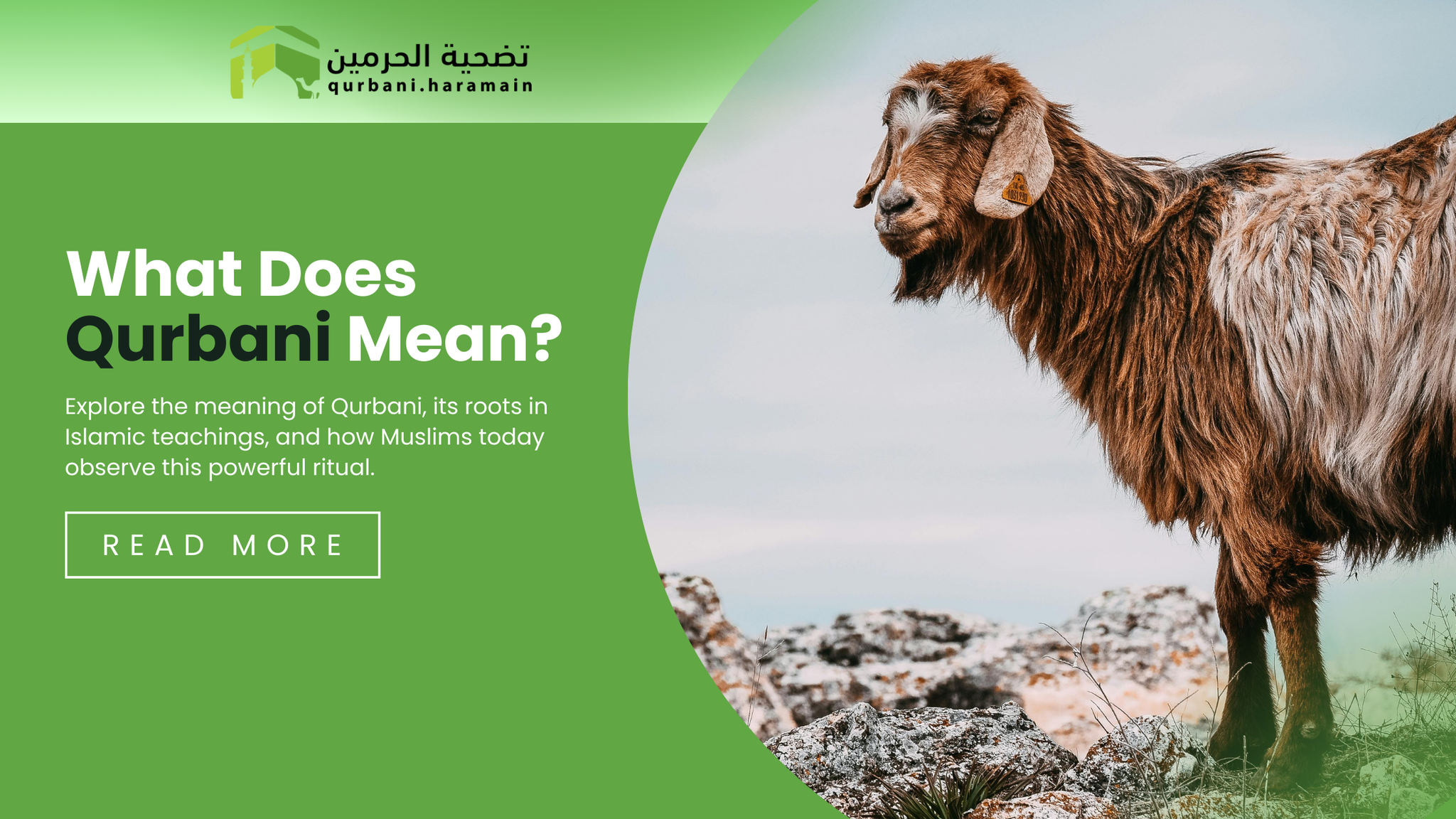 What Does Qurbani Mean?