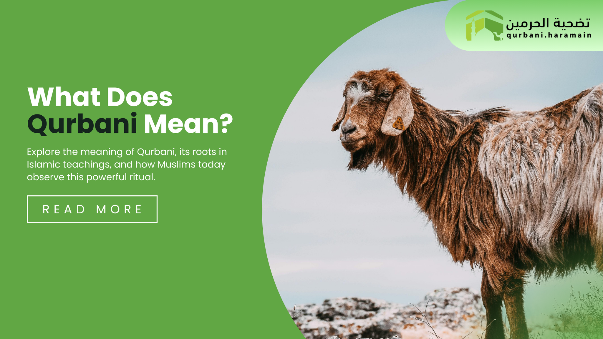 What Does Qurbani Mean?