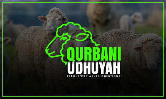 Qurbani Udhiyah In Islam