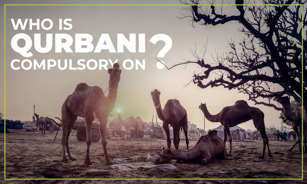 Who is Qurbani compulsory