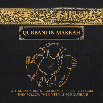 Goat, Sheep and Camel Qurbani
