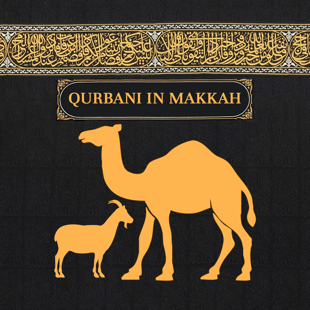 hajj qurbani of camel